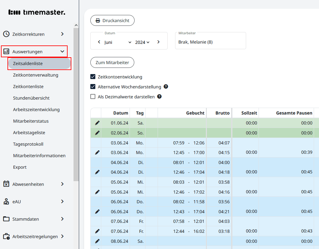 Ansicht der Zeitsaldenliste